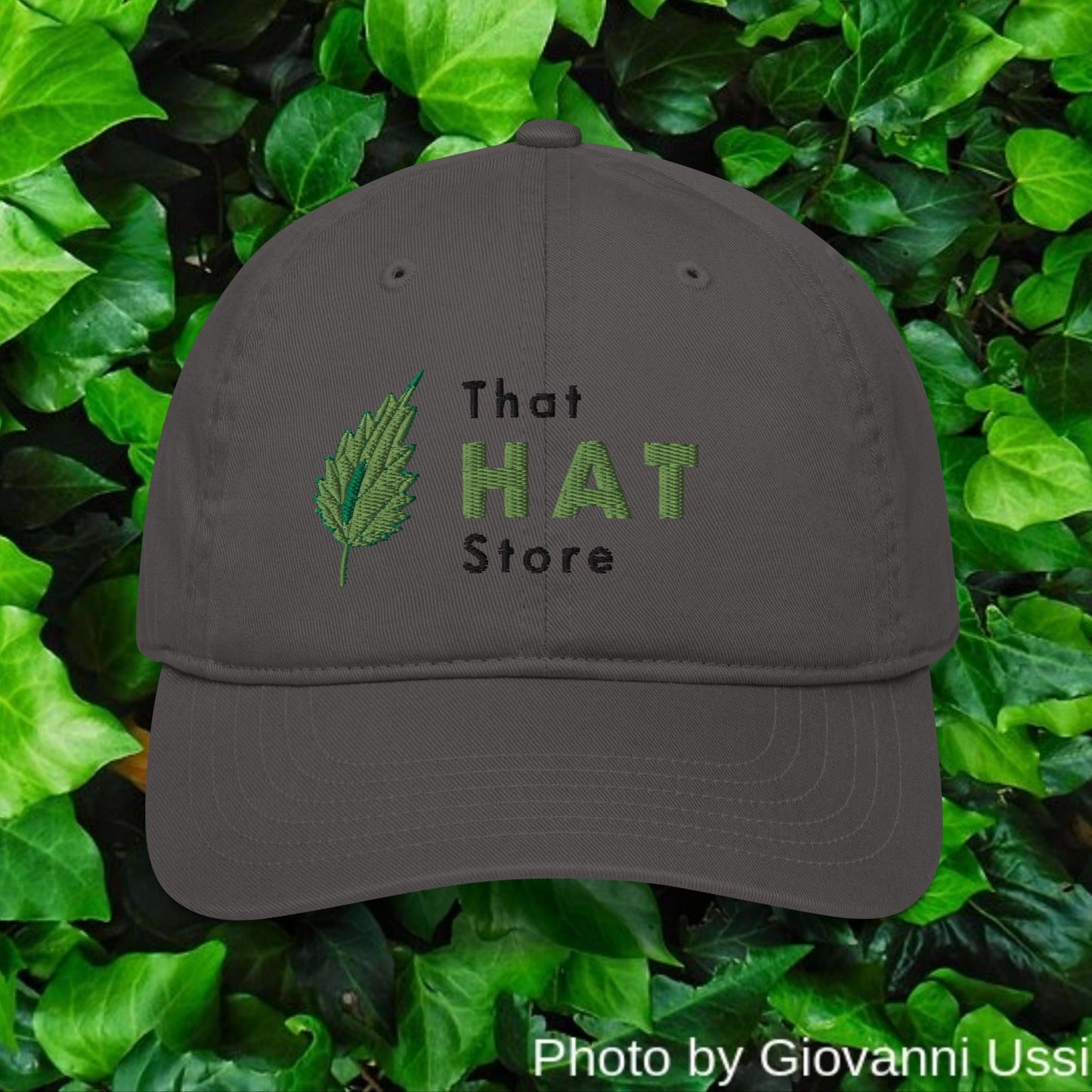 Organic (Eco-friendly) Dad hat