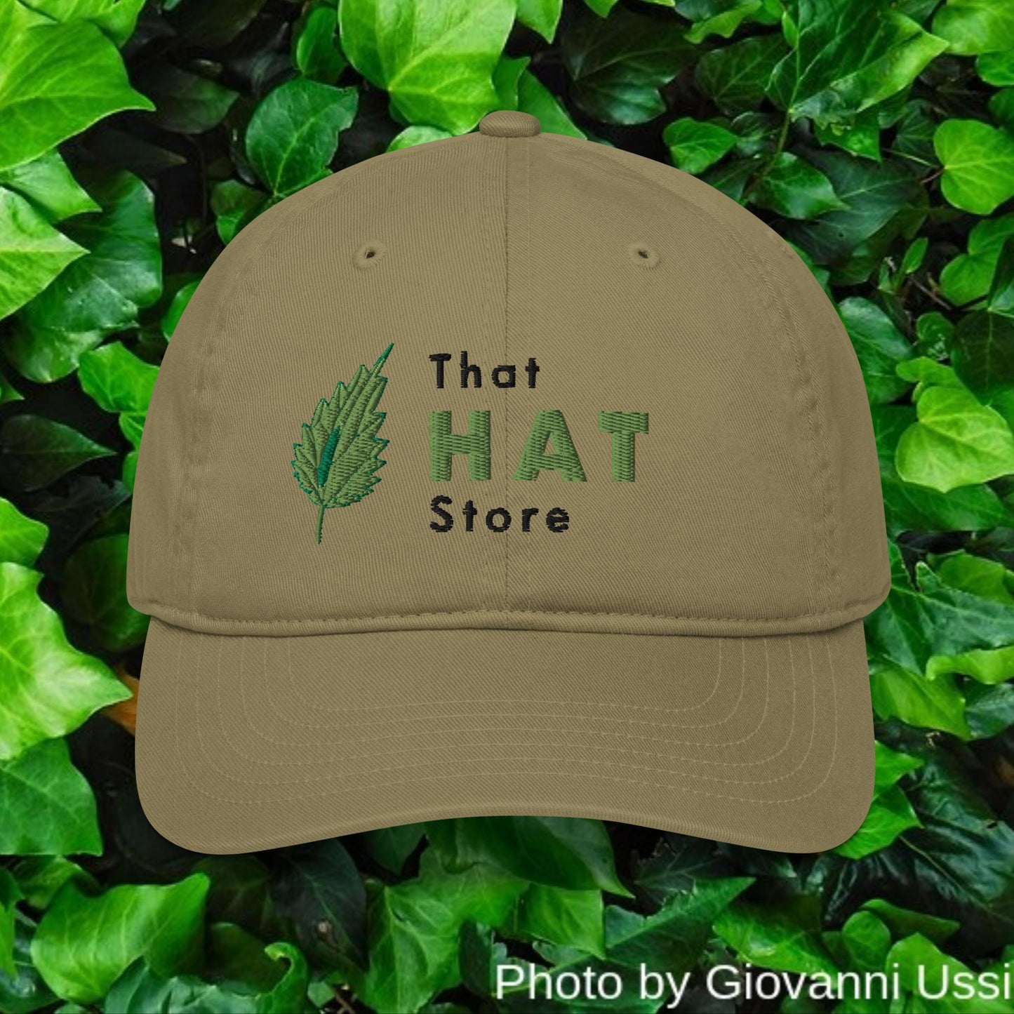 Organic (Eco-friendly) Dad hat