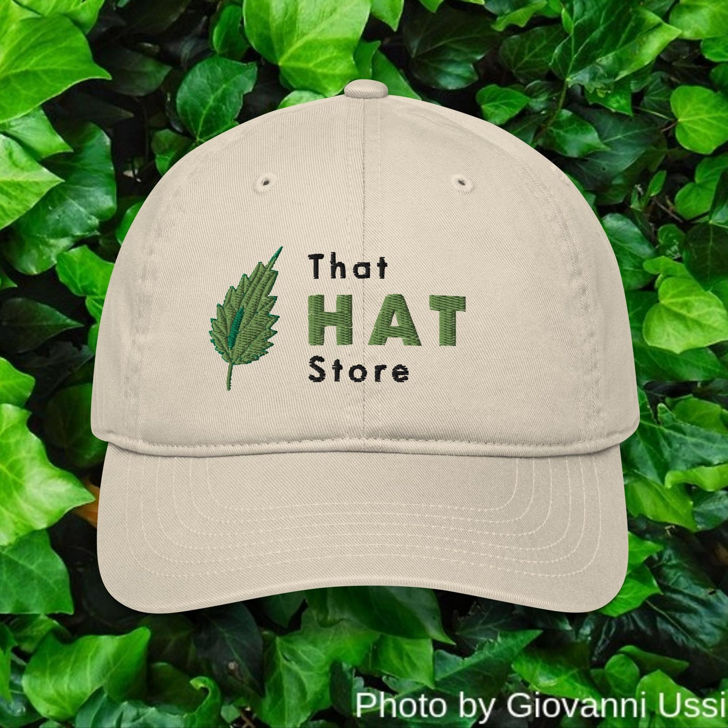 Organic (Eco-friendly) Dad hat